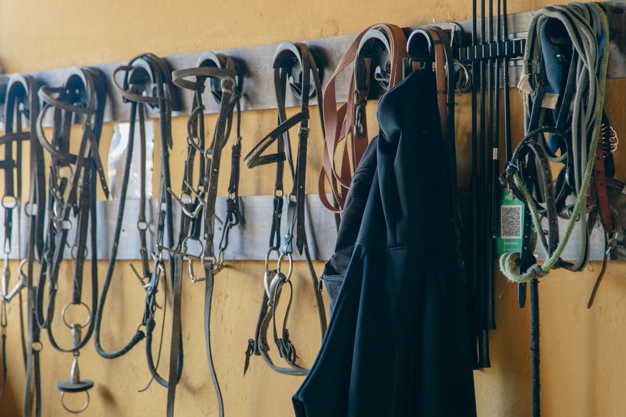 stats-img Various horse tack and equipment hanging neatly in a stable.