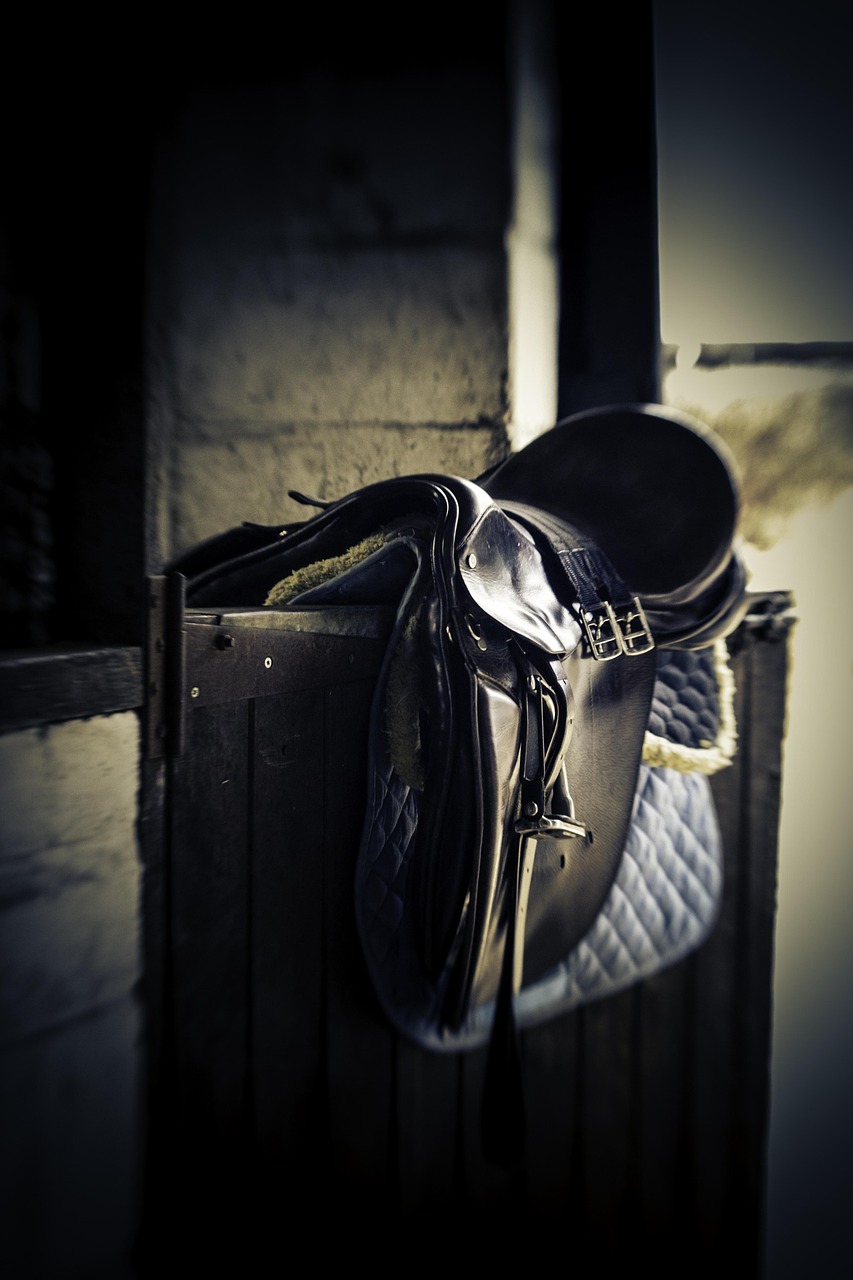 portfolio-04 saddle, stable door, equestrian, horse, bridle, riding, animal, stirrup, nature, tack, black animals, black horse, black door