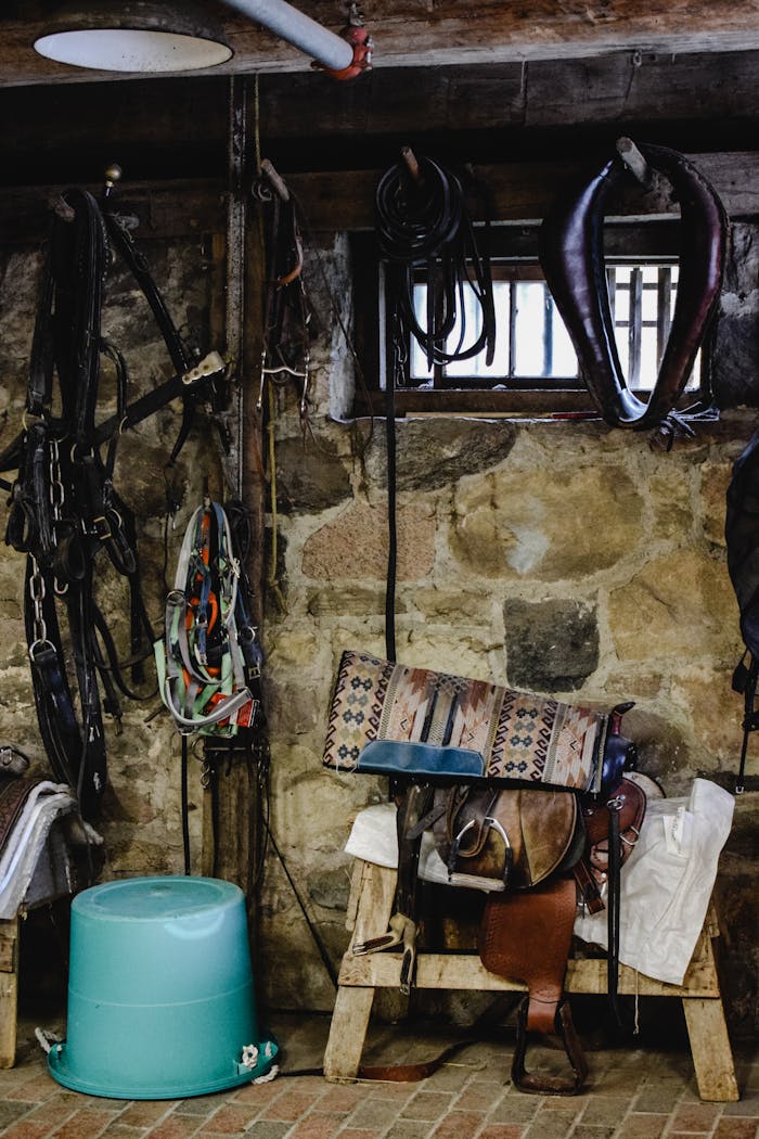 why-choose-us A rustic tack room with saddles and horse gear against a stone wall.